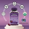 image:imageBlack Elderberry Vitamin C and Zinc Immune Support Gummies for Adults120 Count Pack of 1