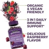 image:imageBlack Elderberry Vitamin C and Zinc Immune Support Gummies for Adults60 Count Pack of 1