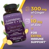 image:imageViva Naturals Black Elderberry 1000mg with Vitamin C D3 5000 IU amp Zinc  5in1 Immune Support Supplement for Adults Sambucus Elderberry Capsules with Ginger for Men and Women 60 Capsules60 Count Pack of 1