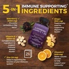 image:imageViva Naturals Black Elderberry 1000mg with Vitamin C D3 5000 IU amp Zinc  5in1 Immune Support Supplement for Adults Sambucus Elderberry Capsules with Ginger for Men and Women 60 Capsules60 Count Pack of 1