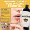 image:imageViva Naturals Organic Castor Oil ColdPressed 16 fl oz  For Face Hair Eyelashes USDA Organic NonGMO  With Beauty Kit16 Fl Oz Pack of 1