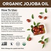 image:imageViva Naturals Organic Jojoba Oil  Pure ColdPressed for Skin and Hair USDA Certified Face Moisturizer 4 fl ozJojoba Oil