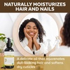 image:imageViva Naturals Organic Jojoba Oil  Pure ColdPressed for Skin and Hair USDA Certified Face Moisturizer 4 fl ozJojoba Oil