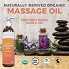 image:imageViva Naturals Organic Massage Oil Unscented 8 fl oz  NonGreasy Body Oil with MessFree Pump Moisturizing Massage Oils for Massage Therapy NonGMO and Certified Organic 237 mLUnscented