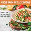 image:imageViva Naturals Organic Quinoa 4 lb  PreWashed Whole Grain Plant Protein USDA Organic GlutenFree NonGMO Vegan Kosher Rice and Pasta Substitute64 Ounce Pack of 1