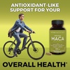 image:imageViva Naturals Peruvian Maca Root Supplement for Women amp Men 500mg  Traditionally Used for Energy Stamina amp Endurance  250 Yellow Maca Root Powder Capsules Gelatinized for Easier Digestion250 Count Pack of 1