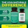 image:imageViva Naturals Pycnogenol  100mg French Maritime Pine Bark Extract  Supports Circulation AntioxidantLike Activity Joints amp Immune Health and Function  60 Veggie Capsules60 Count Pack of 1