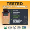 image:imageViva Naturals Turmeric and Ginger Supplement with Black Pepper for Better Absorption  Organic Turmeric Curcumin to Support Joint Heart and Digestive Health NonGMO  120 TabletsTurmeric Ginger