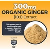 image:imageViva Naturals Turmeric and Ginger Supplement with Black Pepper for Better Absorption  Organic Turmeric Curcumin to Support Joint Heart and Digestive Health NonGMO  120 TabletsTurmeric Ginger